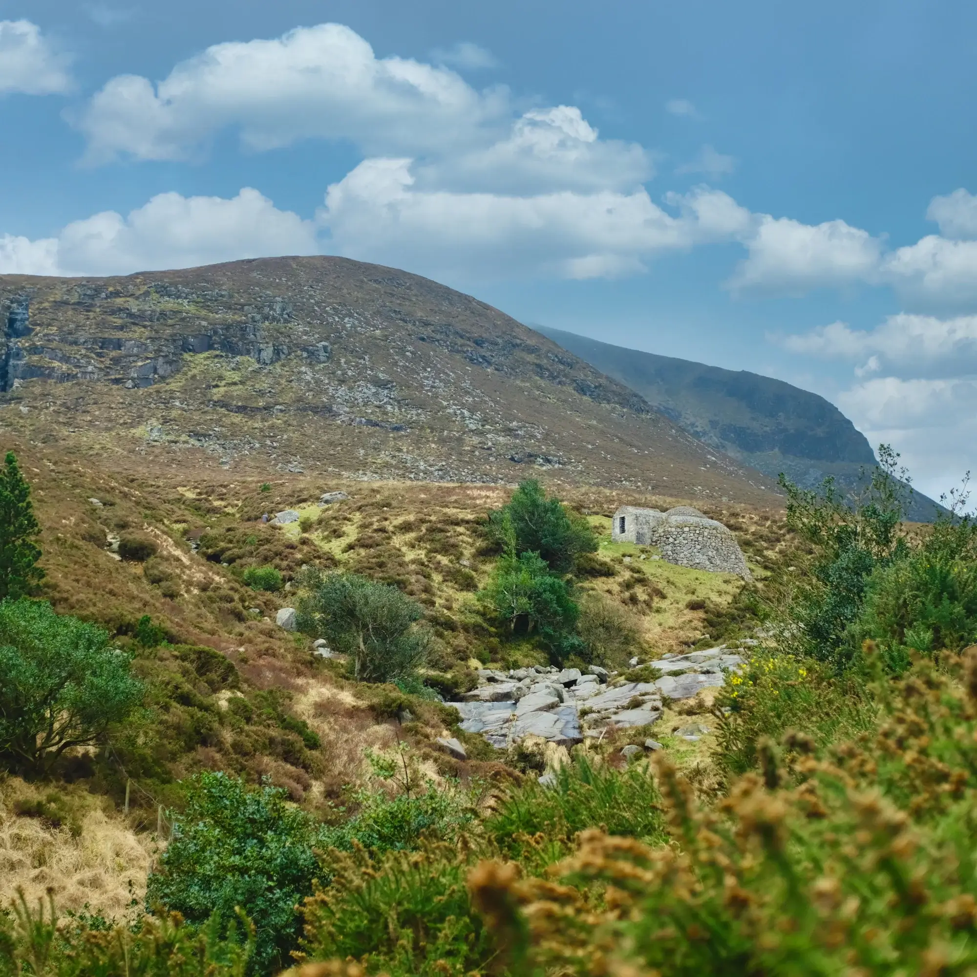 ProParamedics PNGs (2)